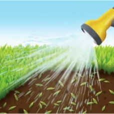 COMPO SAAT® Nachsaat-Rasen 500 g für 25 m²