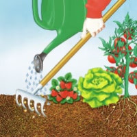 COMPO BIO Rhododendron- und Hortensien Langzeit-Dünger mit Schafwolle 0.75 kg