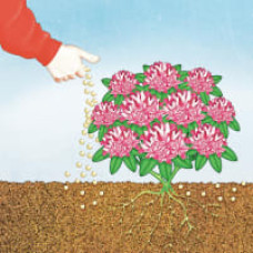 COMPO BIO Rhododendron- und Hortensien Langzeit-Dünger mit Schafwolle 0.75 kg