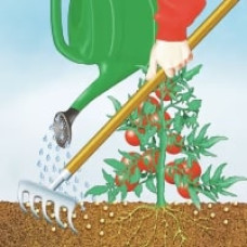 COMPO BIO Tomaten Langzeit-Dünger mit Schafwolle 0.75 kg