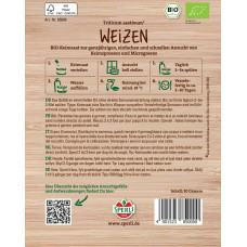 Sperli BIO Keimsprossen-Saat Weizen
