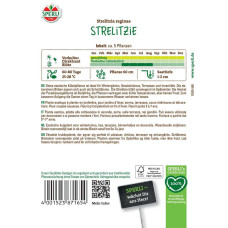 Sperli Strelitziensamen