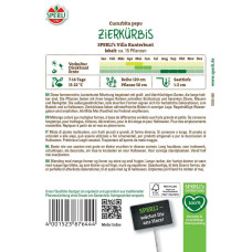 Sperli Zierkürbissamen Villa Kunterbunt