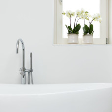 Kolibri Phalaenopsis Orchidee Jewel Ghent, Weiße - Ø12 cm