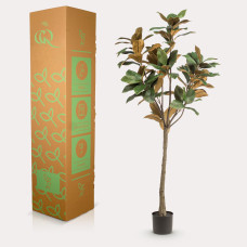 Green Boutiq Kunstpflanze Magnolia Grandiflora - 150 cm