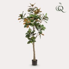 Green Boutiq Kunstpflanze Magnolia Grandiflora - 180 cm