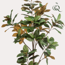 Green Boutiq Kunstpflanze Magnolia Grandiflora - 180 cm