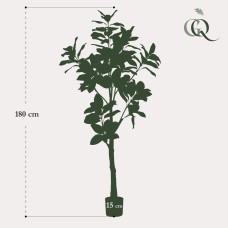 Green Boutiq Kunstpflanze Magnolia Grandiflora - 180 cm