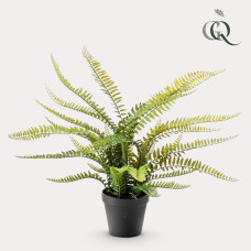 Green Boutiq Kunstpflanze Nephrolepis Exaltata (Boston Farn) 55 cm