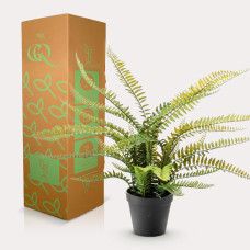 Green Boutiq Kunstpflanze Nephrolepis Exaltata (Boston Farn) 55 cm