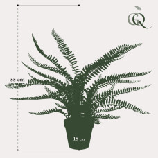 Green Boutiq Kunstpflanze Nephrolepis Exaltata (Boston Farn) 55 cm