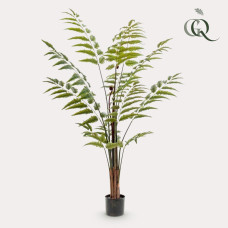 Green Boutiq Kunstpflanze Rumohra Adiantiformis (Lederfarn) 150 cm