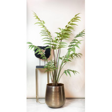 Green Boutiq Kunstpflanze Rumohra Adiantiformis (Lederfarn) 180 cm