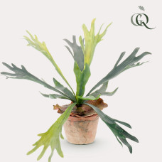 Green Boutiq Kunstpflanze Staghorn Farn (Geweihfarn) 33 cm