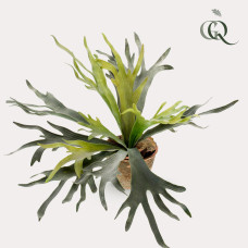 Green Boutiq Kunstpflanze Staghorn Farn (Geweihfarn) 50 cm