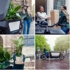 Meergroothandel Calathea Aus Samoa-Glas Mit Led-Beleuchtung - 10 cm, ø12 cm