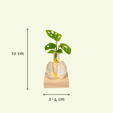 Meergroothandel Duo Monstera Und Calathea Aus Samoa-Glas Mit Led-Beleuchtung - 10 cm, ø 4 cm
