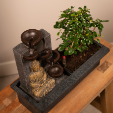 Meergroothandel  Bonsai-Wasserfall (Budha) - 30 cm, Ø15 cm