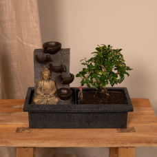 Meergroothandel  Bonsai-Wasserfall (Budha) - 30 cm, Ø15 cm