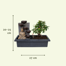 Meergroothandel  Bonsai-Wasserfall (Budha) - 30 cm, Ø15 cm