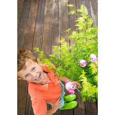 Son & Koot Acer Palm. 'Going Green' - 20 cm, Ø10.5 cm