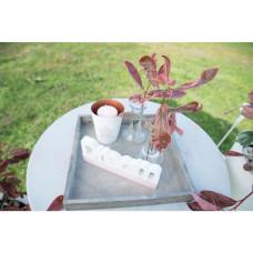 Son & Koot Photinia Fraseri 'Pink Marble' - 30 cm, Ø19 cm