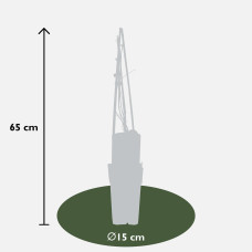 Hoogeveen Lonicera Brownii Dropmore Scarlet - 65 cm, Ø 15 cm