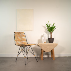 Vda Plant Yucca - 70 cm, Ø14 cm