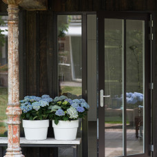 Hy-Pe Hortensie Ball Rohware Blau - 30 cm, Ø 14 cm