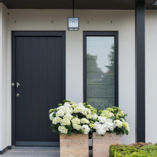 Hy-Pe Hortensie Ball Rohware Weiß - 30 cm, Ø 14 cm