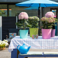 Hy-Pe Hortensie Avantgarde Rosa - 60 cm, Ø 23 cm