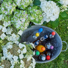 Hy-Pe Tellerhortensie Weiß - 45 cm, Ø 23 cm