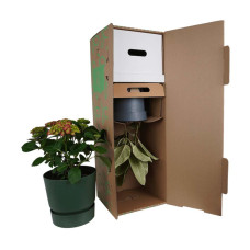 Hy-Pe Tellerhortensie Rot - 45 cm, Ø 23 cm