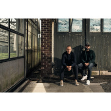 The Mastergrowers Zimmerhortensie Rot - 40 cm,  ø 14 cm