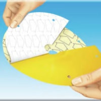 COMPO BIO Kirschfruchtfliegen-Fallen 3 Stk