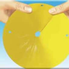 COMPO BIO Kirschfruchtfliegen-Fallen 3 Stk