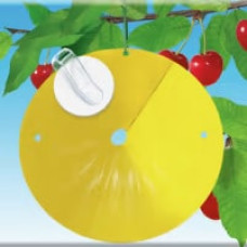 COMPO BIO Kirschfruchtfliegen-Fallen 3 Stk