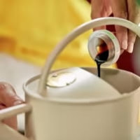 COMPO öko balance Pflanzendünger 1 Liter