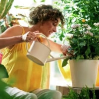 COMPO öko balance Pflanzendünger 1 Liter