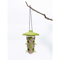 Plastia Robin - 3-in-1 Vogelfutterhaus, Vogeltränke - Grün