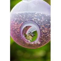 Plastia Vogelfutterhaus Berry, rosa