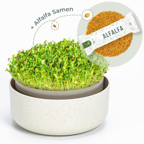 OraGarden Keimsprosskit mit Alfalfa Samen