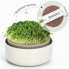 OraGarden Keimsprosskit mit Brokkoli Samen