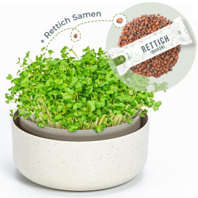 OraGarden Keimsprosskit mit Rettich Samen