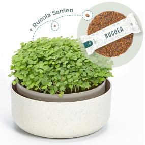 OraGarden Keimsprosskit mit Rucola Samen