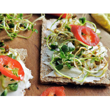 Vitamin Boost Bio Sprossen Set