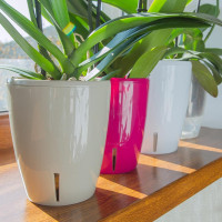 Happy-Plants Orchidea Twin Orchideentopf Selbstbewässernd Ø 16.7 cm, H 20 cm 3.3 Liter - Anthrazit