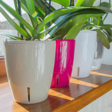 Happy-Plants Orchidea Twin Orchideentopf Selbstbewässernd Ø 12.5 cm, H 15 cm 1.3 Liter - Anthrazit