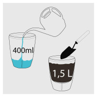 Happy-Plants Orchidea Twin Orchideentopf Selbstbewässernd Ø 15 cm, H 18 cm 2 Liter - Anthrazit