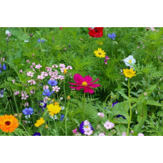 ReNatura Balkon- und Terrassenmix 0.275 kg